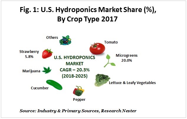 米国の水耕栽培市場-作物別（トマト、マイクログリーン、レタス、葉物野菜、コショウ、キュウリ、マリファナ、イチゴなど）–業界の需要分析と機会評価2017–2025年のサブ画像1