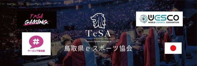 【eスポーツで日本とアフリカを繋ぐ】鳥取県eスポーツ協会がナイジェリアでeスポーツイベント「TNED2021」を開催！のサブ画像4