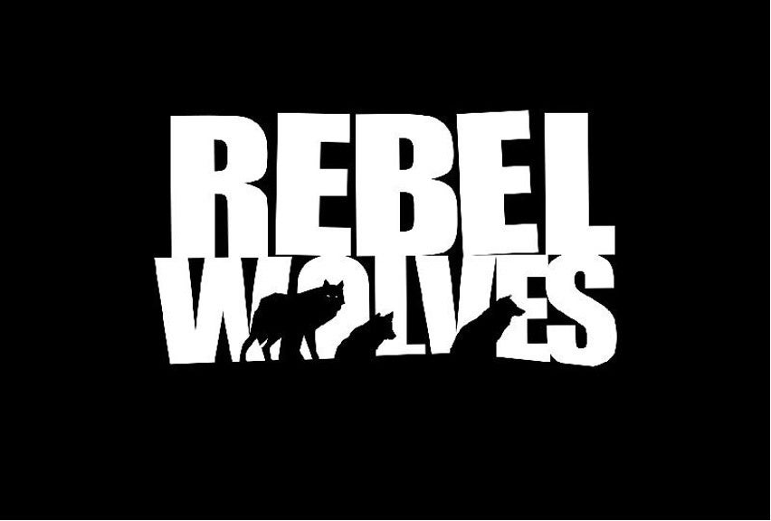 NetEase GamesによるポーランドのゲームスタジオRebel Wolvesへの戦略的投資に関するお知らせのサブ画像1