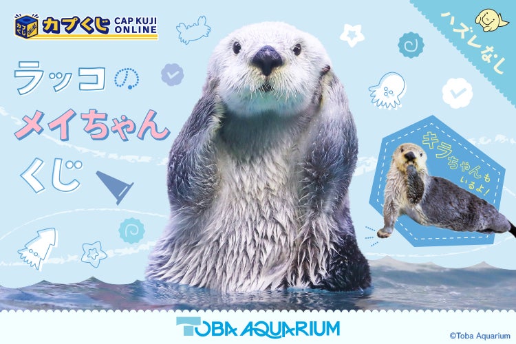 『鳥羽水族館』のアイドル！ 「ラッコのメイちゃん」のお誕生日を記念したオンラインくじが、『カプくじオンライン』に登場！　メイちゃんのかわいい写真を使用した豪華景品が多数展開！のサブ画像1