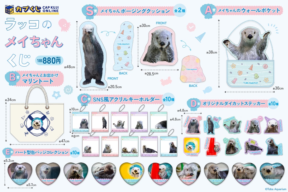 『鳥羽水族館』のアイドル！ 「ラッコのメイちゃん」のお誕生日を記念したオンラインくじが、『カプくじオンライン』に登場！　メイちゃんのかわいい写真を使用した豪華景品が多数展開！のサブ画像2