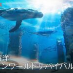 71247_243_sub10