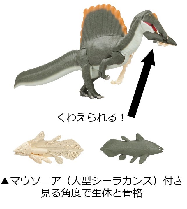 巨大肉食恐竜を組み立てよう！見る角度で2通り楽しめる！のサブ画像2