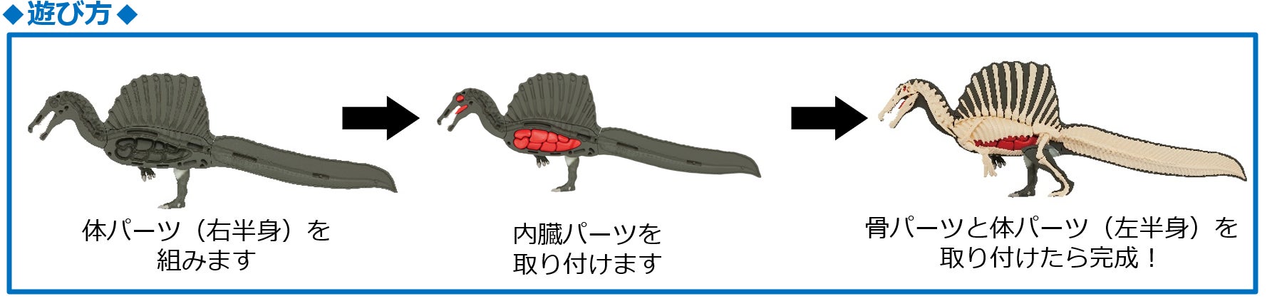 巨大肉食恐竜を組み立てよう！見る角度で2通り楽しめる！のサブ画像3