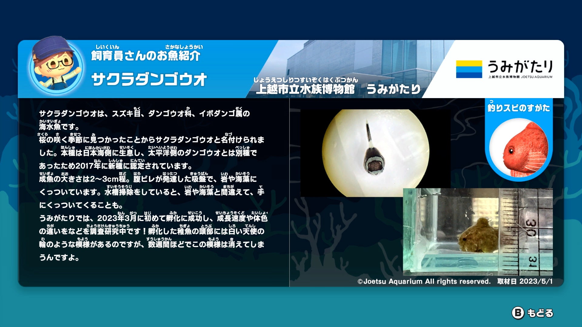 『釣りスピリッツ 釣って遊べる水族館』11館のリアル水族館とコラボ！各水族館自慢のお魚が新たに登場した夏の無料アップデート配信！さらに新色サオコンが発売決定！予約受付中！のサブ画像4