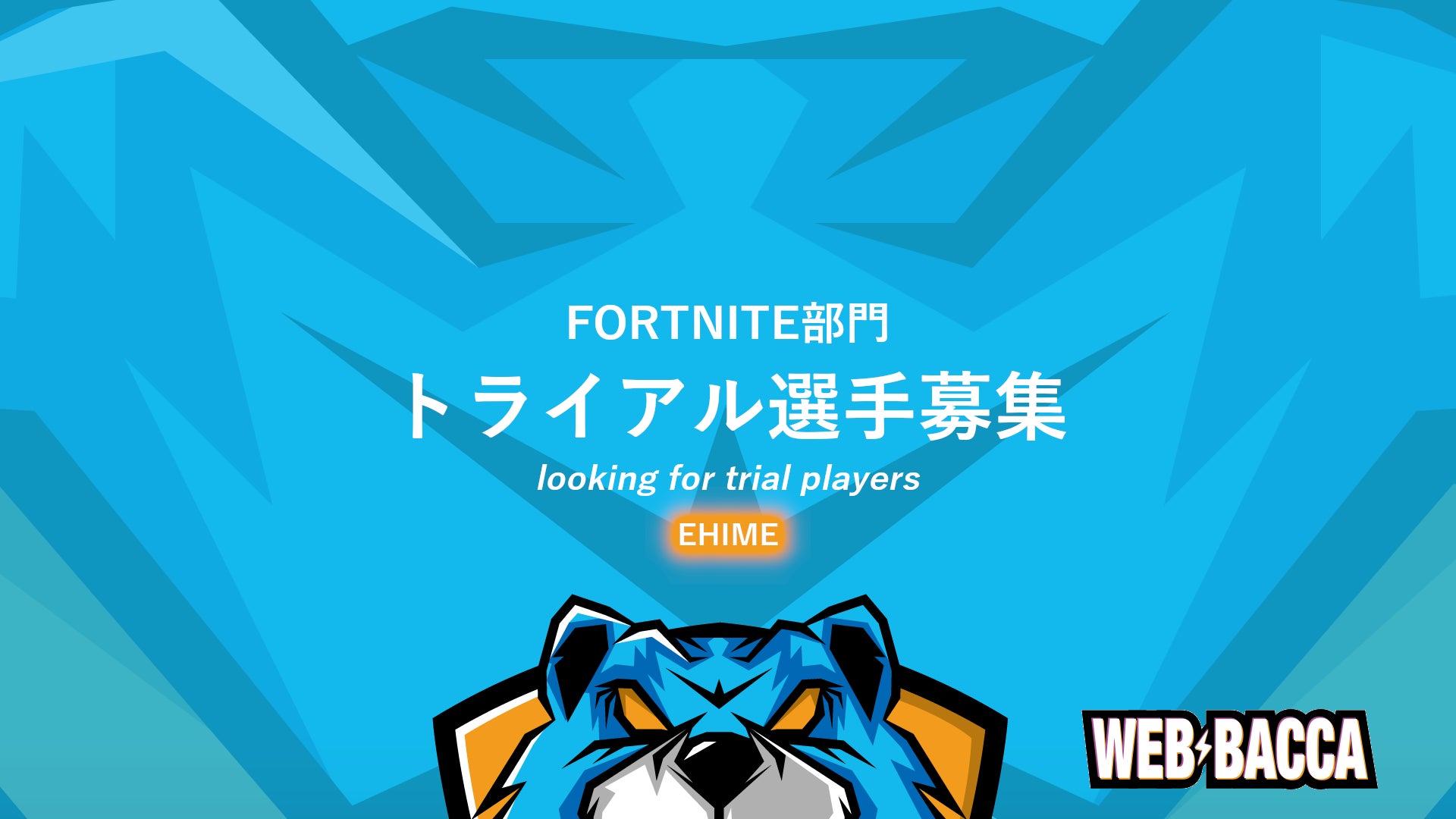 プロeスポーツチーム「WEB BACCA」Fortnite部門トライアル選手を募集のサブ画像1